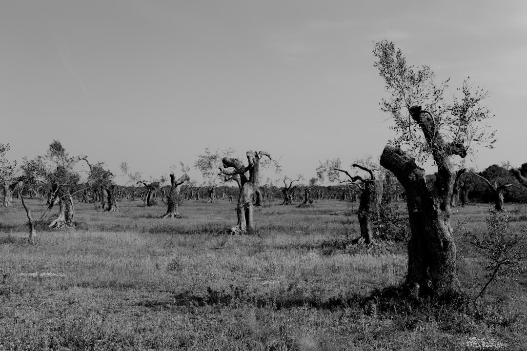 Presenze e turni in azienda agricola: guida PMI